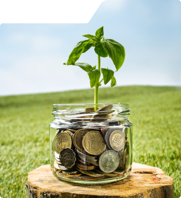Smart Share and Securities Limited